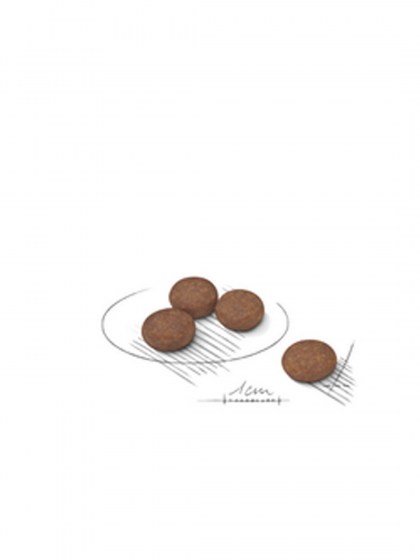 CCN MINI DIGESTIVE CARE 1KG_web4